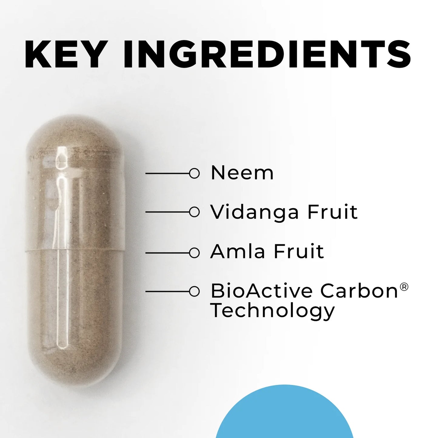 Para 2-Cellcore Bioscience