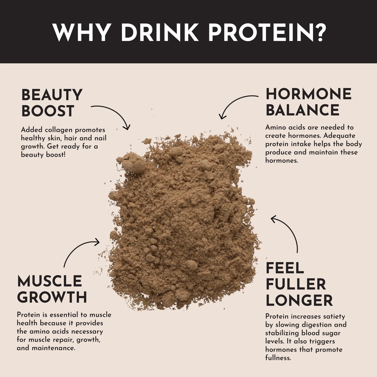 Chocolate Protein Powder